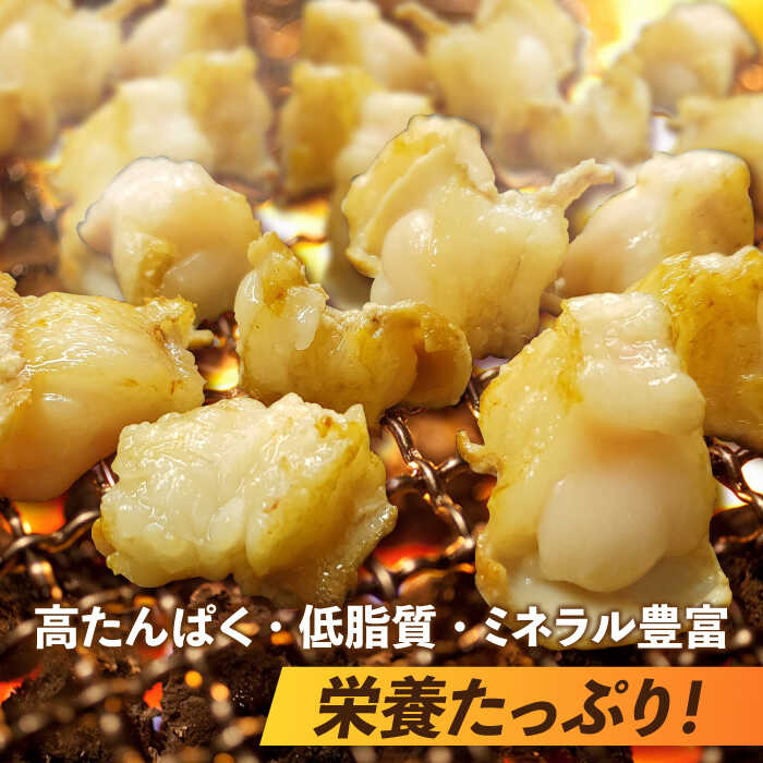 【脂が甘くてぷりっぷり！】佐賀牛ホルモン 焼肉用 小腸 500g（250g×2）味付けなし 吉野ヶ里町/やきとり紋次郎 [FCJ089]