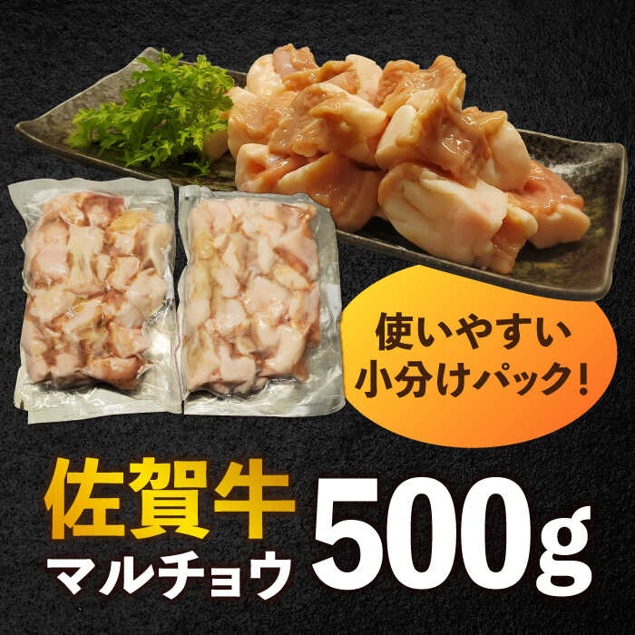 【脂が甘くてぷりっぷり！】佐賀牛ホルモン 焼肉用 小腸 500g（250g×2）味付けなし 吉野ヶ里町/やきとり紋次郎 [FCJ089]