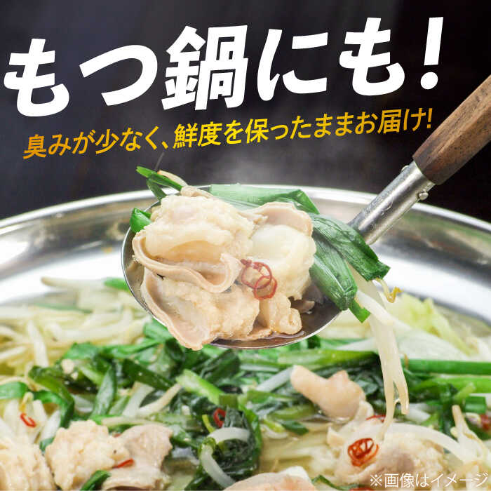 【全3回定期便】 【脂が甘くてぷりっぷり！】佐賀牛ホルモン 焼肉用 小腸 計1.5kg（250g/袋）味付けなし 吉野ヶ里町/やきとり紋次郎 [FCJ091]