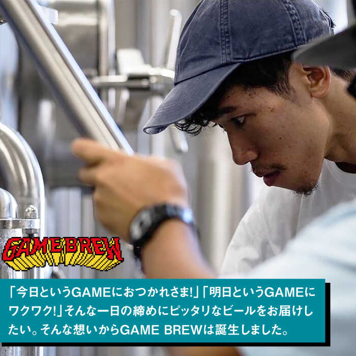 クラフトビール GAME BREW 3種 6本セット（3種×2本） 各350ml 飲み比べ CONTINUE?/DILEMMA/LIQUID SWORDS お酒 吉野ヶ里町/西研グラフィックス [FDG005]