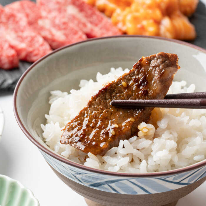 【12回定期便】 佐賀牛 焼肉満喫セット モモ 上カルビ 総計10.8kg 吉野ヶ里町/NICK’S MEAT [FCY037]