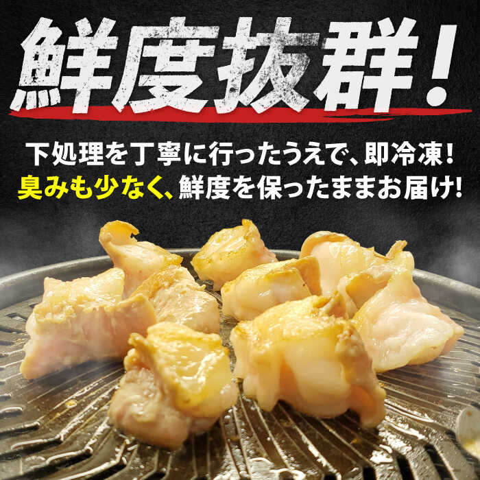 佐賀牛6種食べ比べ！ ホルモンバラエティセット 1.8kg 4-5人前 盛り合わせ タン・小腸など 吉野ヶ里町/やきとり紋次郎 [FCJ090]