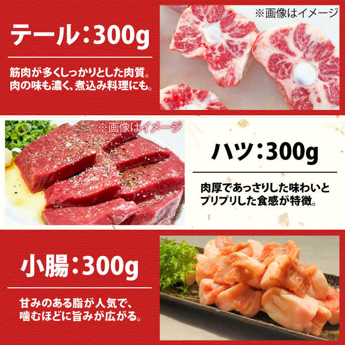 佐賀牛6種食べ比べ！ ホルモンバラエティセット 1.8kg 4-5人前 盛り合わせ タン・小腸など 吉野ヶ里町/やきとり紋次郎 [FCJ090]