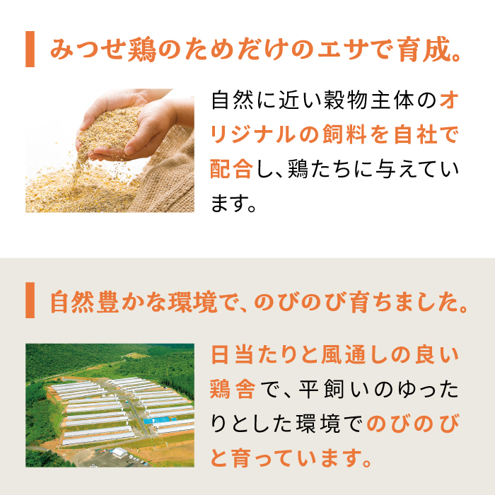 ＜食欲そそるジューシーな香り＞みつせ鶏 丸焼きロースト 1羽（約1kg） 吉野ヶ里町/ヨコオフーズ [FAE191]