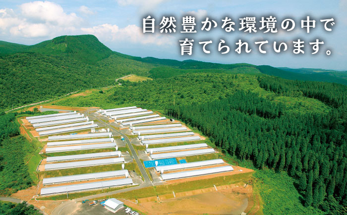 ＜食欲そそるジューシーな香り＞みつせ鶏 丸焼きロースト 1羽（約1kg） 【スピード発送】  吉野ヶ里町/ヨコオフーズ [FAE191]