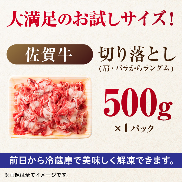 艶さし！ 佐賀牛 切り落とし 肩orバラ 500g 吉野ヶ里町 [FDB006]