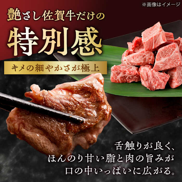 【一口で広がる贅沢な旨味！】　佐賀牛 A4 A5等級 ヒレ サイコロステーキ 450g 吉野ヶ里町/NICK’S MEAT [FCY039]