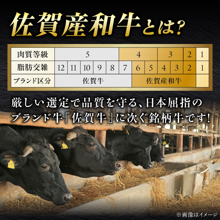 佐賀産和牛 牛タンしゃぶしゃぶセット 500g 吉野ヶ里町/やきとり紋次郎 [FCJ058]
