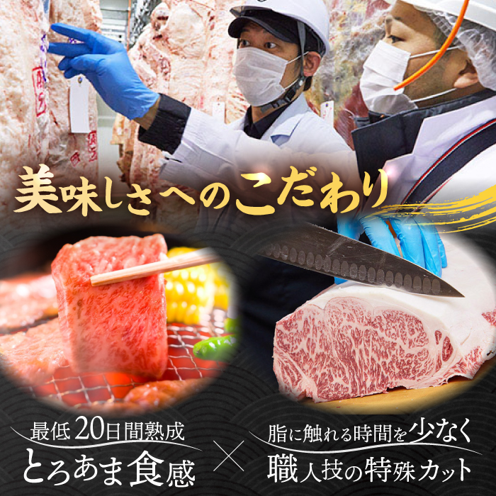 【全3回定期便】旨みじゅわ～ A4 A5 佐賀牛 霜降り定期便 3,000g 総計3kg 吉野ヶ里町/ミートフーズ華松[FAY022]