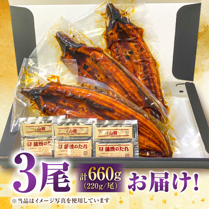 中国産 特大うなぎ蒲焼 計660g（220g×3尾）吉野ヶ里町/株式会社フジマキ うなぎ ウナギ 蒲焼 [FDM003]