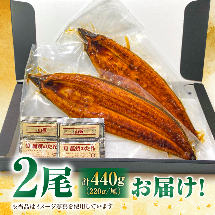 中国産 特大うなぎ蒲焼 計440g（220g×2尾）吉野ヶ里町/株式会社フジマキ うなぎ ウナギ 蒲焼 [FDM004]