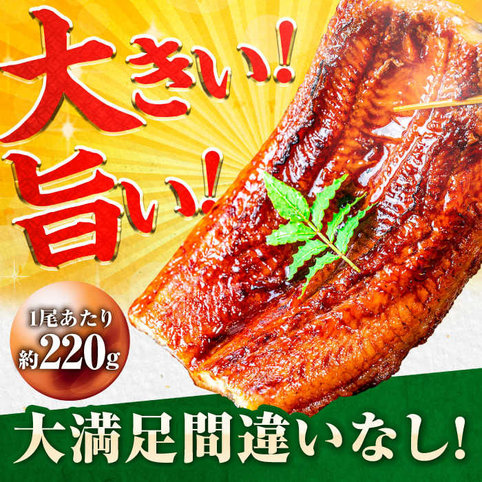 【全3回定期便】中国産 特大うなぎ蒲焼 計660g（220g×3尾）吉野ヶ里町/株式会社フジマキ うなぎ ウナギ 蒲焼 [FDM011]