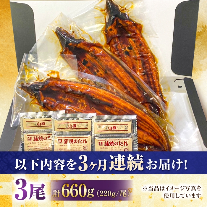 【全3回定期便】中国産 特大うなぎ蒲焼 計660g（220g×3尾）吉野ヶ里町/株式会社フジマキ うなぎ ウナギ 蒲焼 [FDM011]