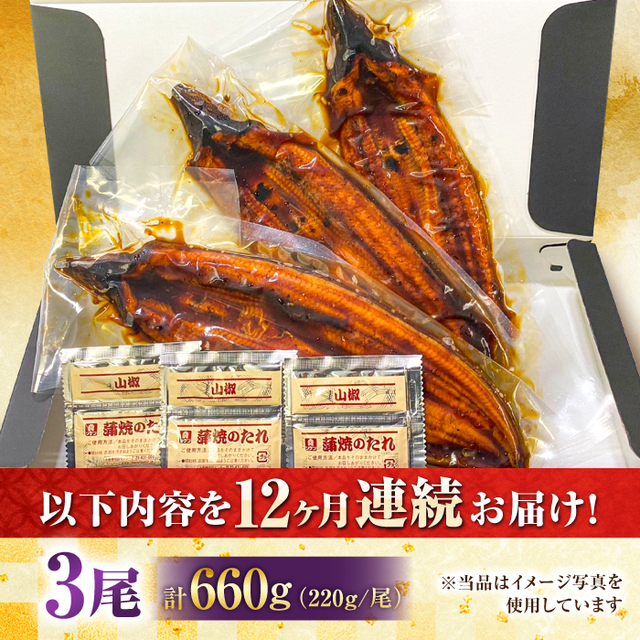 【全12回定期便】中国産 特大うなぎ蒲焼 計660g（220g×3尾）吉野ヶ里町/株式会社フジマキ うなぎ ウナギ 蒲焼 [FDM013]