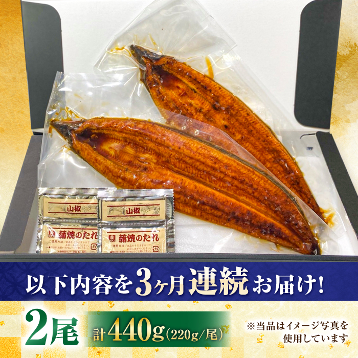 【全3回定期便】中国産 特大うなぎ蒲焼 計440g（220g×2尾）吉野ヶ里町/株式会社フジマキ うなぎ ウナギ 蒲焼 [FDM014]