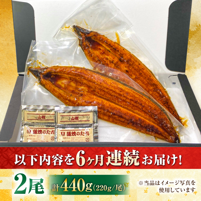 【全6回定期便】中国産 特大うなぎ蒲焼 計440g（220g×2尾）吉野ヶ里町/株式会社フジマキ うなぎ ウナギ 蒲焼 [FDM015]