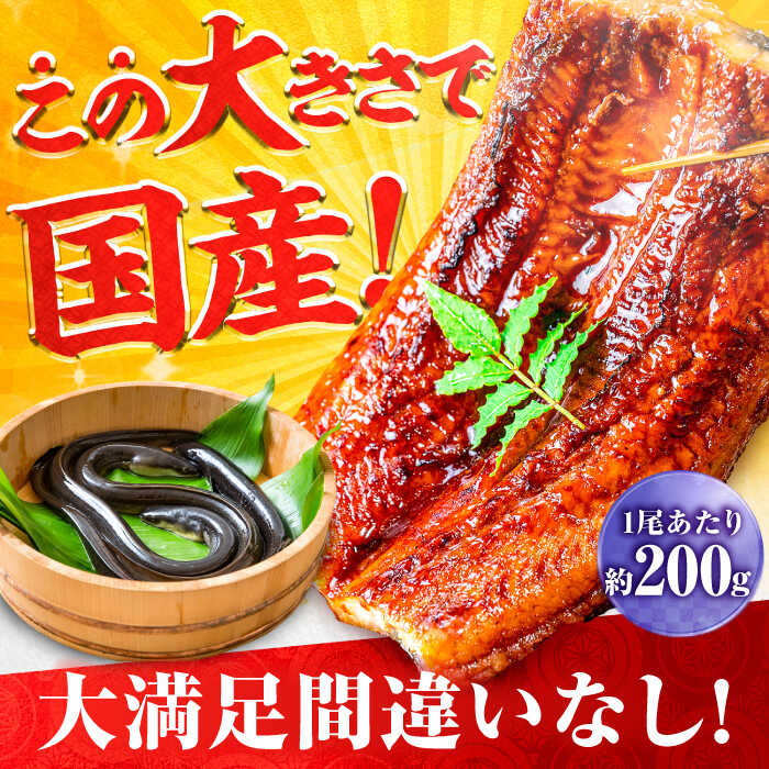 国産！九州仕立ての特大うなぎ蒲焼 計400g（200g×2尾）吉野ヶ里町/株式会社フジマキ うなぎ ウナギ 国産 [FDM002]