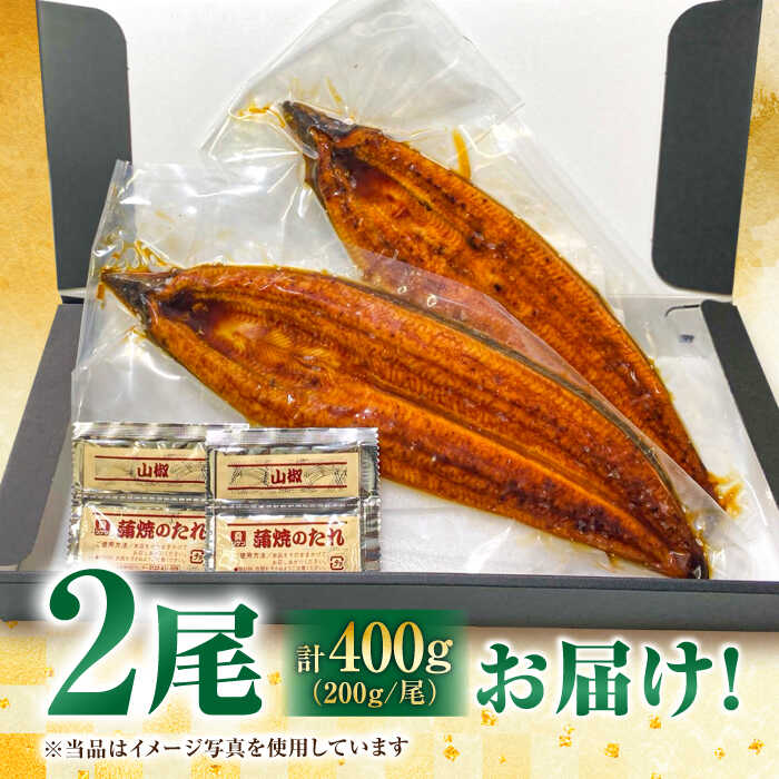 国産！九州仕立ての特大うなぎ蒲焼 計400g（200g×2尾）吉野ヶ里町/株式会社フジマキ うなぎ ウナギ 国産 [FDM002]