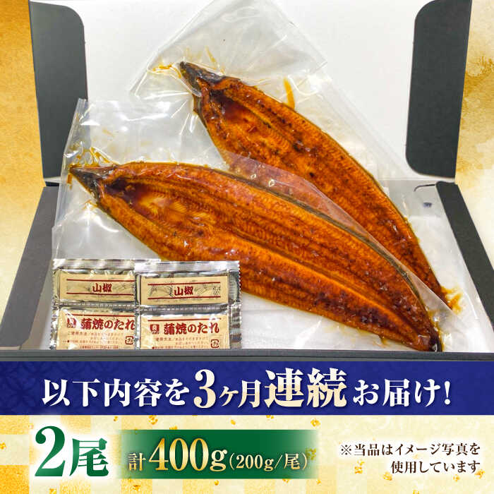 【全3回定期便】国産！九州仕立ての特大うなぎ蒲焼 計400g（200g×2尾）吉野ヶ里町/株式会社フジマキ うなぎ ウナギ 国産 [FDM008]