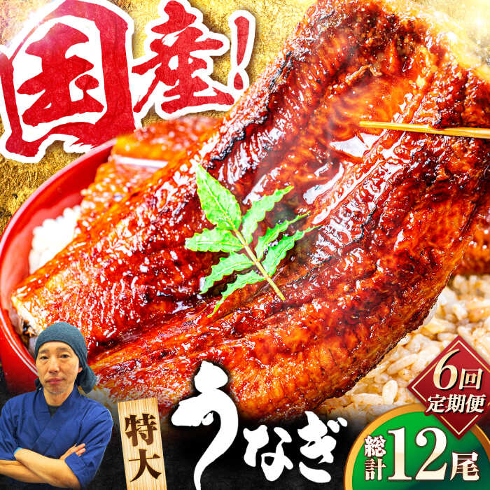 【全6回定期便】国産！九州仕立ての特大うなぎ蒲焼 計400g（200g×2尾）吉野ヶ里町/株式会社フジマキ うなぎ ウナギ 国産 [FDM009]