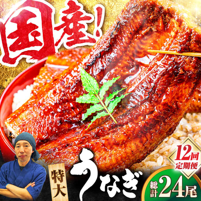 【全12回定期便】国産！九州仕立ての特大うなぎ蒲焼 計400g（200g×2尾）吉野ヶ里町/株式会社フジマキ うなぎ ウナギ 国産 [FDM010]