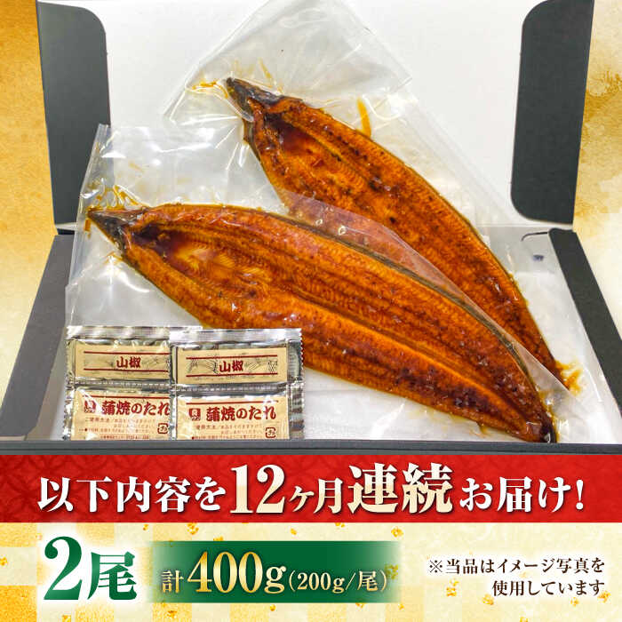 【全12回定期便】国産！九州仕立ての特大うなぎ蒲焼 計400g（200g×2尾）吉野ヶ里町/株式会社フジマキ うなぎ ウナギ 国産 [FDM010]