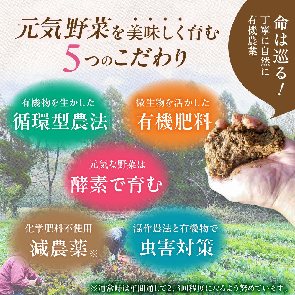 【8品】農薬に頼らない！カラダにやさしい「よしのがり野菜」セット（ショート）【吉野ヶ里あいちゃん農園】 [FAA001]