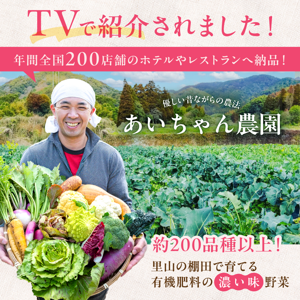 【8品 / 24回定期便】農薬に頼らない！カラダにやさしい「よしのがり野菜」セット（ショート）【吉野ヶ里あいちゃん農園】 [FAA003]