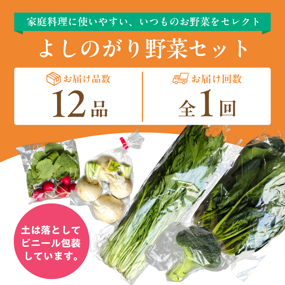 【12品】農薬に頼らない！カラダにやさしい「よしのがり野菜」セット（レギュラー）吉野ヶ里町/吉野ヶ里あいちゃん農園 [FAA005]