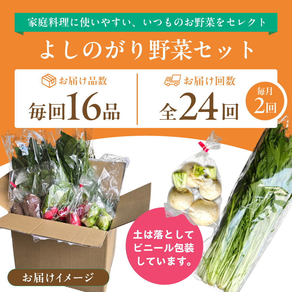 【16品 / 24回定期便】農薬に頼らない！カラダにやさしい「よしのがり野菜」セット（ラージ）【吉野ヶ里あいちゃん農園】 [FAA011]
