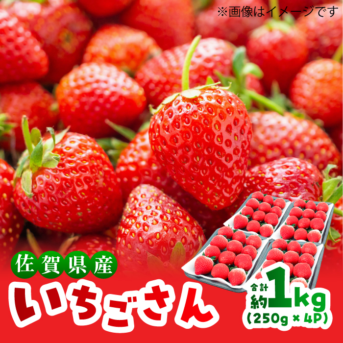 【限定数量/先行予約】【12月以降順次発送】いちごさん 計1kg以上（約250g×4P） 吉野ヶ里町/TZファーム [FDF001]