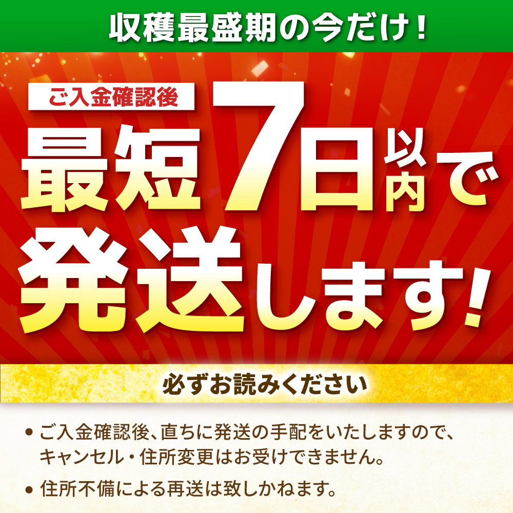 【1週間以内発送/限定数量】いちごさん 計1kg以上（約250g×4P） 吉野ヶ里町/TZファーム [FDF001]