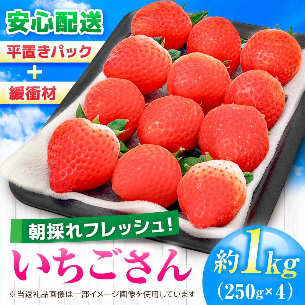 【1週間以内発送/限定数量】いちごさん 計1kg以上（約250g×4P） 吉野ヶ里町/TZファーム [FDF001]