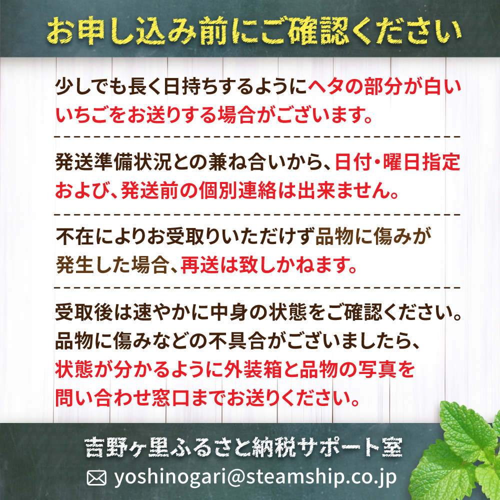 【1週間以内発送/限定数量】いちごさん 計1kg以上（約250g×4P） 吉野ヶ里町/TZファーム [FDF001]