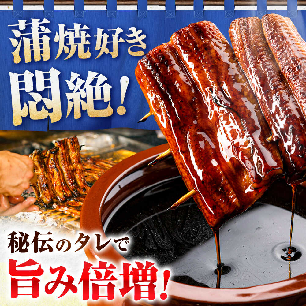 【国産/中国産】うなぎ蒲焼 食べ比べセット 2尾 計380g（160g×1/220g×1）吉野ヶ里町/株式会社フジマキ うなぎ ウナギ 蒲焼 [FDM001]