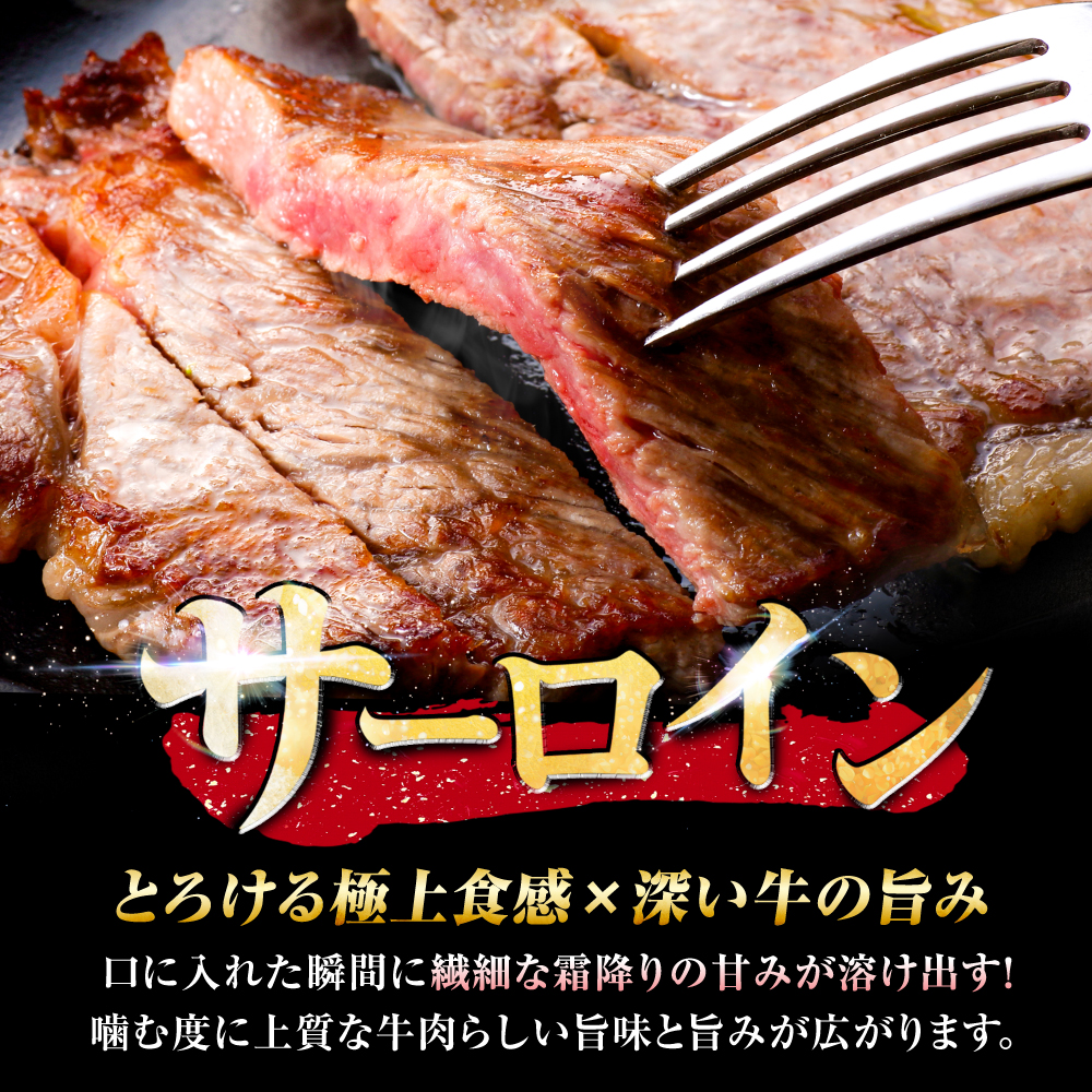 【7営業日以内発送！】 佐賀牛 サーロインステーキ 600g(200g×3) 吉野ヶ里町/丸宗ミート [FDP011]