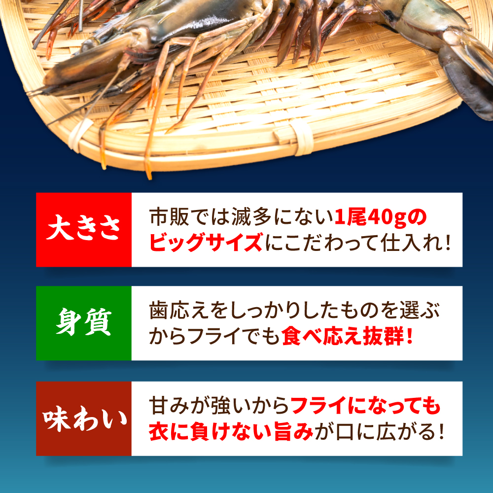 【全6回定期便】水産高校賞受賞！無頭「神えびフライ」9尾～11尾(400g)吉野ヶ里町/EBI研究所 [FDE012]