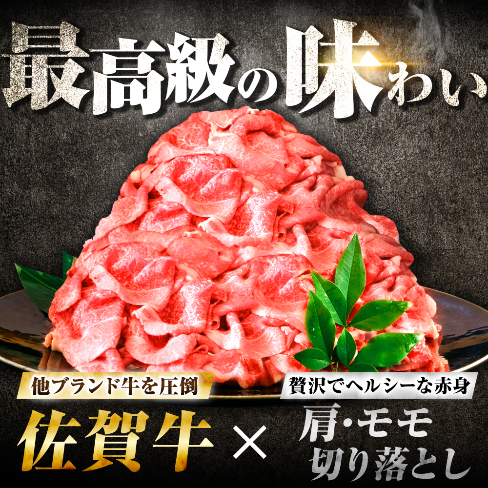 【7営業日以内発送！】 佐賀牛 肩・モモ切り落とし 1kg(500g×2) 吉野ヶ里町/丸宗ミート [FDP020]