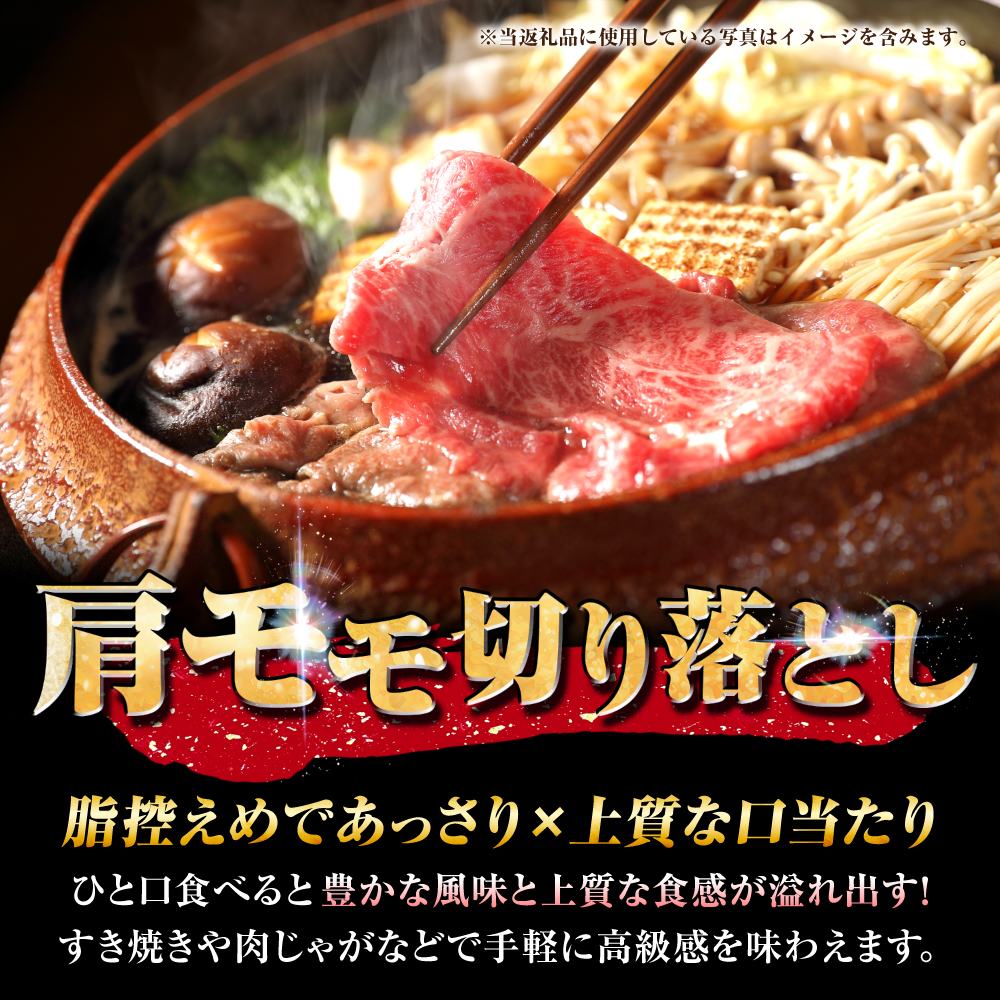 【7営業日以内発送！】 佐賀牛 肩・モモ切り落とし 1kg(500g×2) 吉野ヶ里町/丸宗ミート [FDP020]