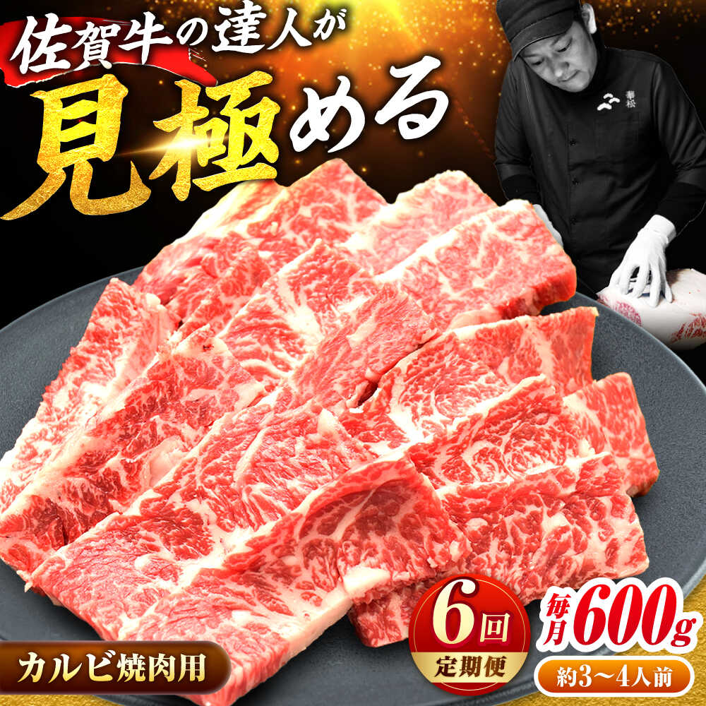 【全6回定期便】高評価!  佐賀牛 カルビ 600g 肉 牛 牛肉 吉野ヶ里町/ミートフーズ華松 [FAY103]
