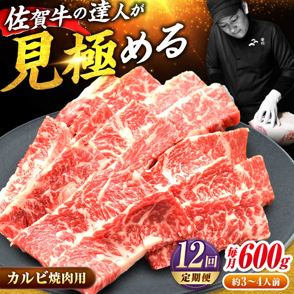【全12回定期便】高評価!  佐賀牛 カルビ 600g 肉 牛 牛肉 吉野ヶ里町/ミートフーズ華松 [FAY104]