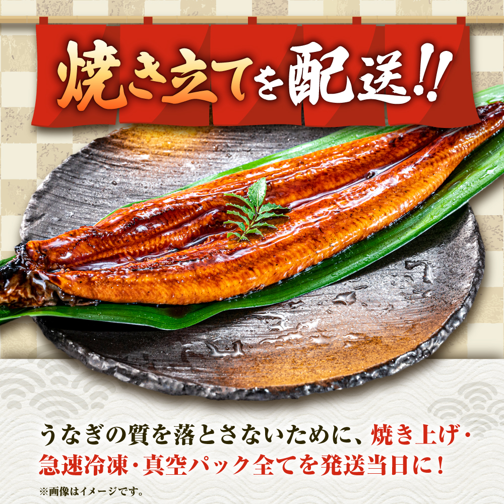 九州産 国産うなぎ 蒲焼 2尾 計360g以上（タレ・山椒付き） 丸安/ 吉野ヶ里町 [FAD023]