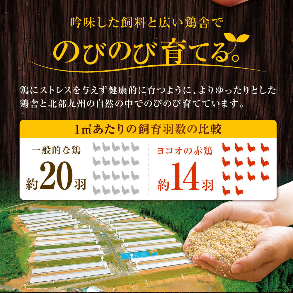 みつせ鶏 もも切身 1.2kg (300g×4袋) バラ凍結 【スピード発送】 吉野ヶ里町/ヨコオフーズ [FAE202]
