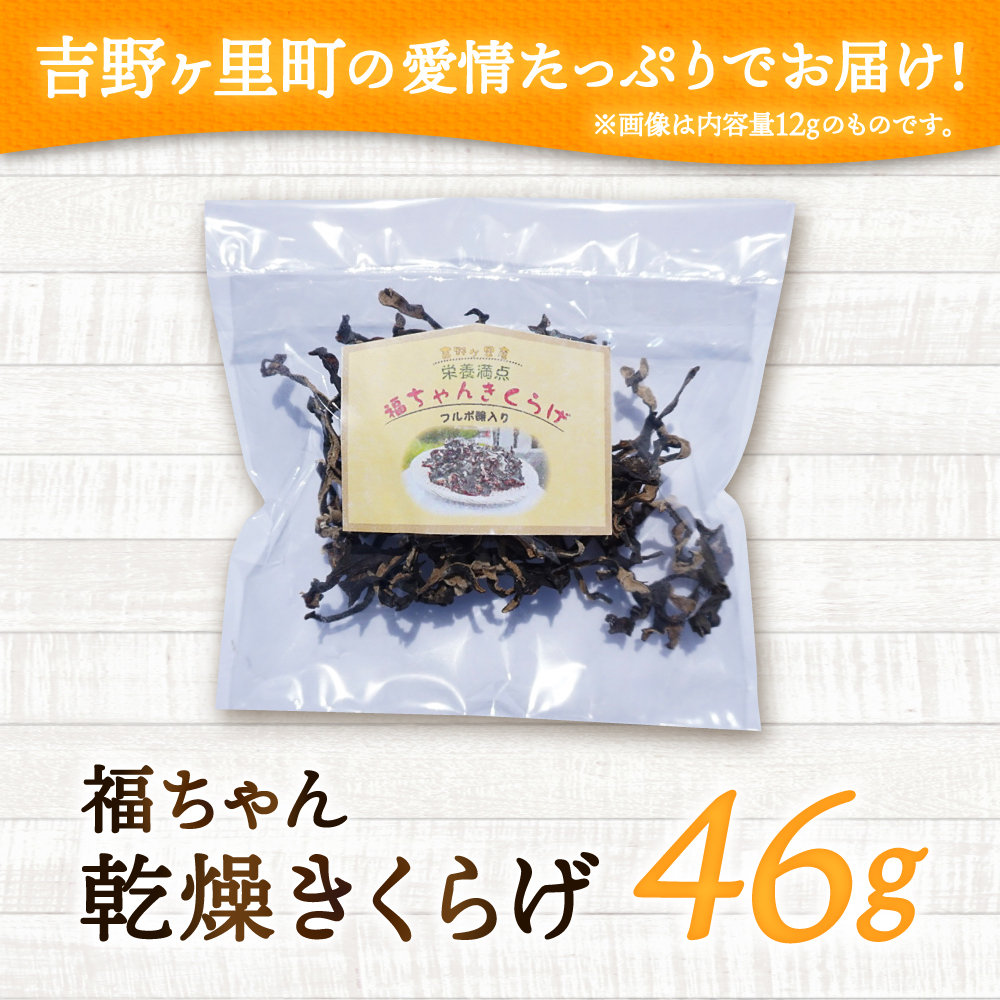 吉野ヶ里産 フルボ酸入り 福ちゃん 乾燥きくらげ 46g きくらげ キクラゲ [FDS002]