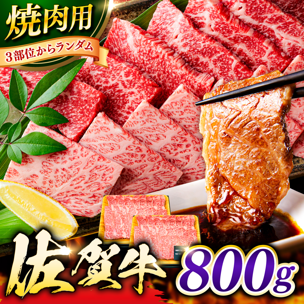 艶さし！ 佐賀牛 焼肉用（バラor肩orモモのいずれか1種）800g 吉野ヶ里町 [FDB077]