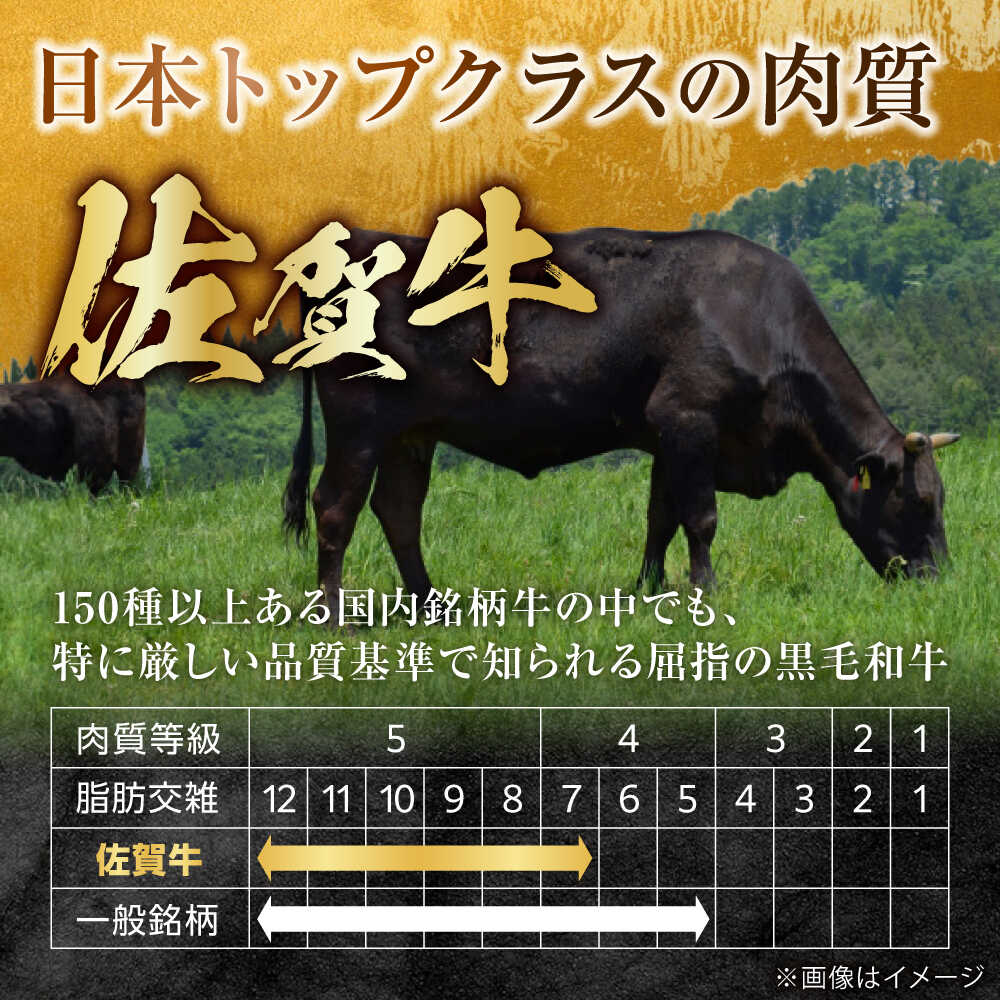 【全12回定期便】【訳あり】　佐賀牛 A4 A5等級 サイコロステーキ 400g 計4.8kg（モモ・ヒレ・イチボ・カルビ） 吉野ヶ里町/NICK’S MEAT [FCY043]