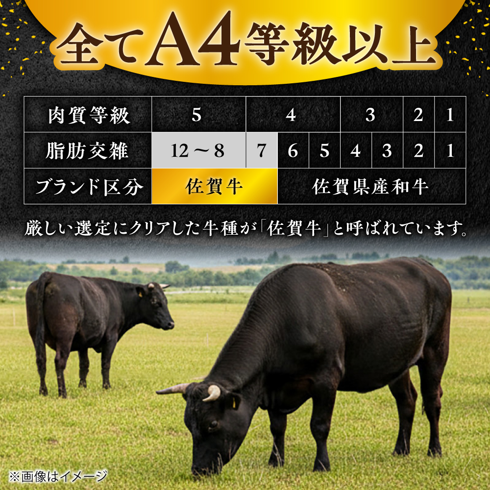 【全5回定期便/2ヵ月に1回 隔月にお届け】佐賀牛贅沢シャトーブリアン・ヒレステーキ計600g総計3kg 吉野ヶ里町/やま田商店 [FCH009]