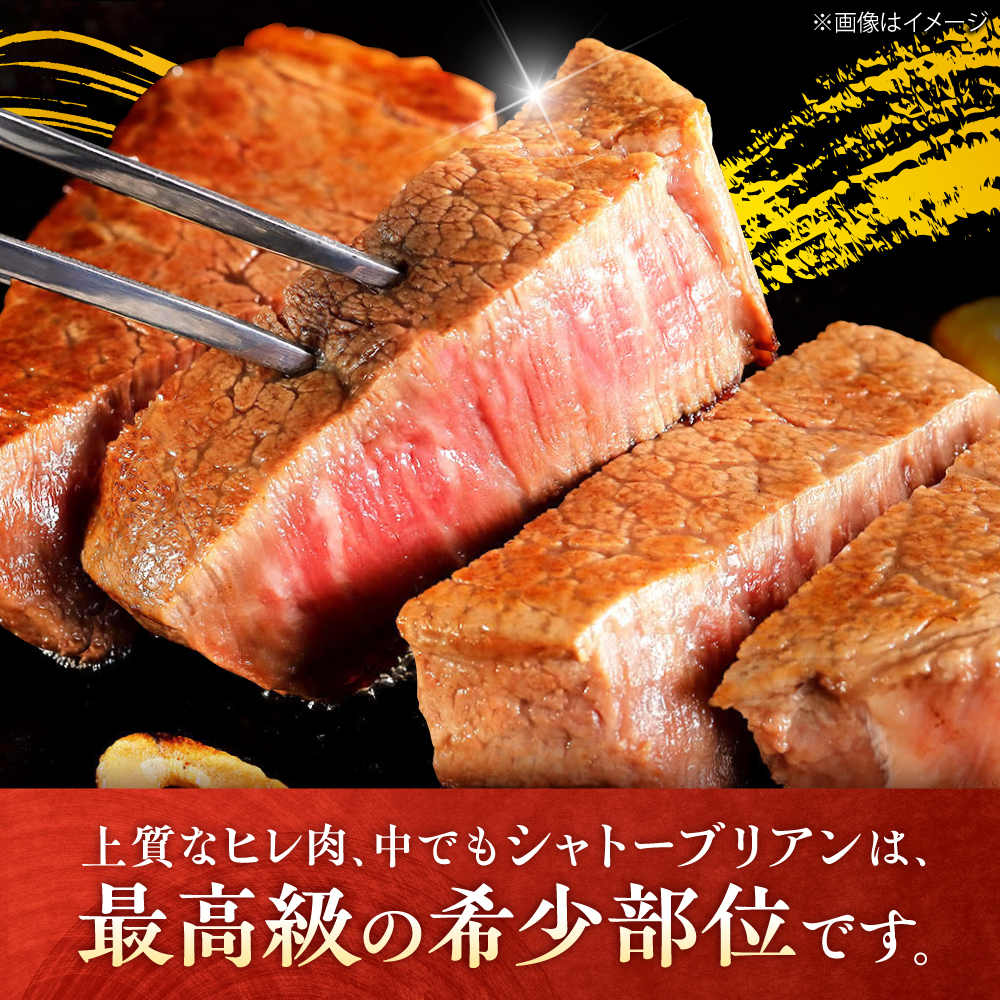 【全5回定期便/2ヵ月に1回 隔月にお届け】佐賀牛贅沢シャトーブリアン・ヒレステーキ計600g総計3kg 吉野ヶ里町/やま田商店 [FCH009]