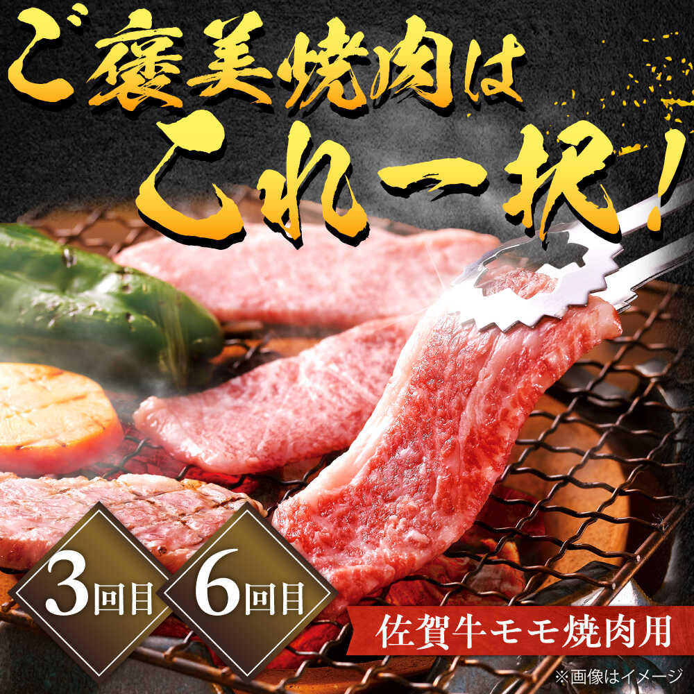 【全6回定期便】佐賀牛 赤身定期便 2～3人前 計2.8kg（ヒレステーキ・モモスライス・モモ焼肉）吉野ヶ里町/やま田商店 [FCH030]