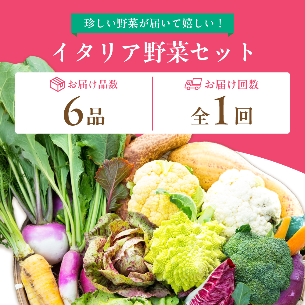 【6品】農薬に頼らない！カラダにやさしい「イタリア野菜」セット（ショート）【吉野ヶ里あいちゃん農園】[FAA013]